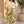 PANTALON DAMA CLS142844