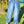JEAN DAMA TCS9144001
